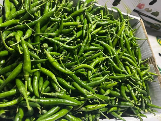 Export Fresh Green Chilli