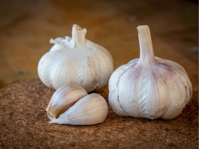 Fresh Garlic